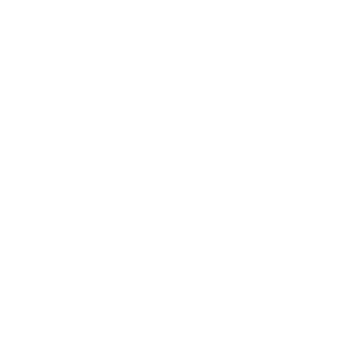 成人矯正
